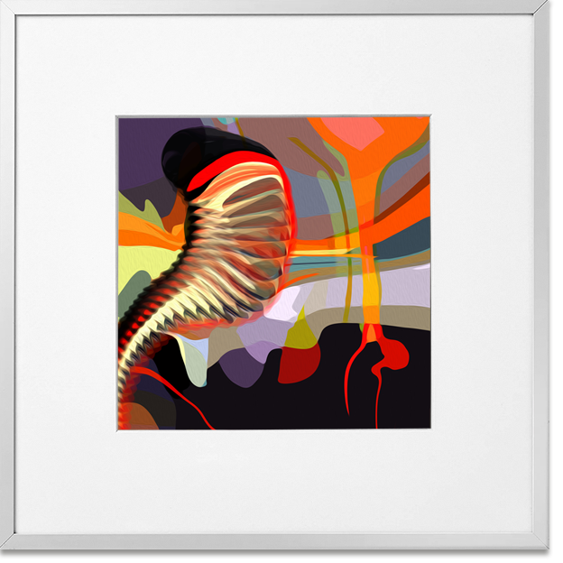 Siegi Wurz Digitale Bilder