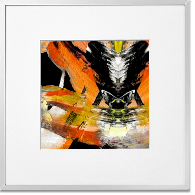 Siegi Wurz Digitale Bilder