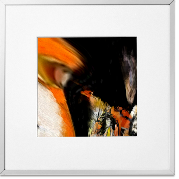 Siegi Wurz Digitale Bilder