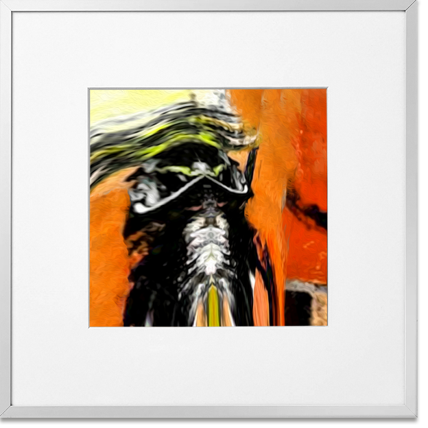 Siegi Wurz Digitale Bilder