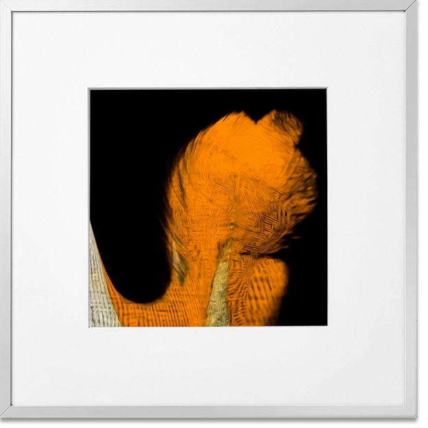 Siegi Wurz Digitale Bilder