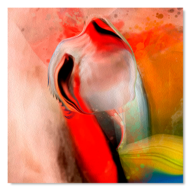 Siegi Wurz Digitale Bilder