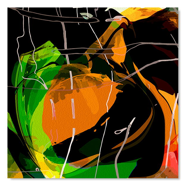 Siegi Wurz Digitale Bilder