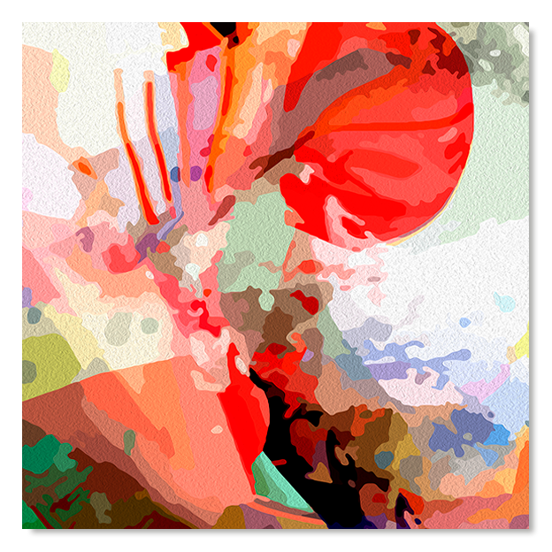 Siegi Wurz Digitale Bilder