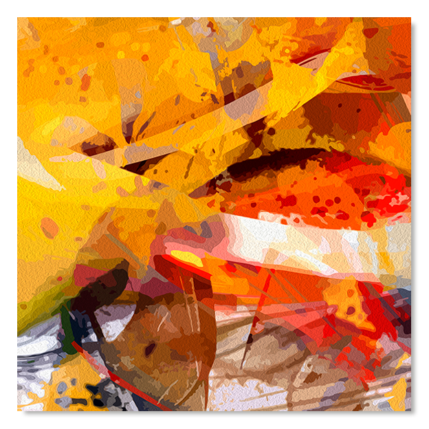 Siegi Wurz Digitale Bilder