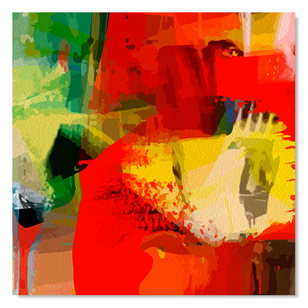 Siegi Wurz Digitale Bilder