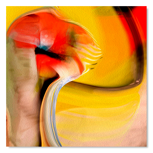 Siegi Wurz Digitale Bilder