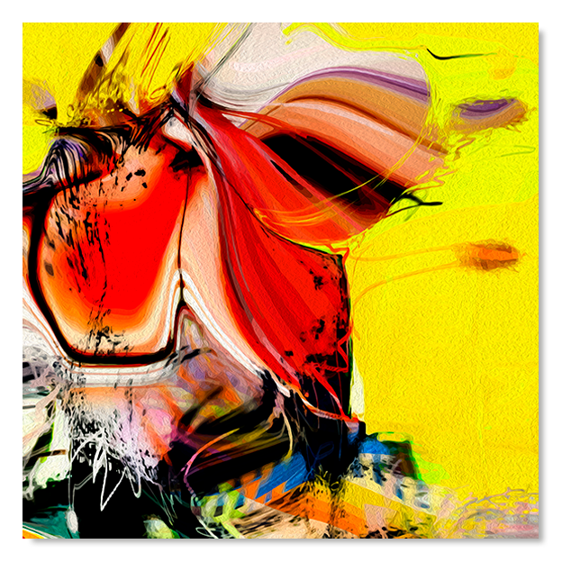Siegi Wurz Digitale Bilder