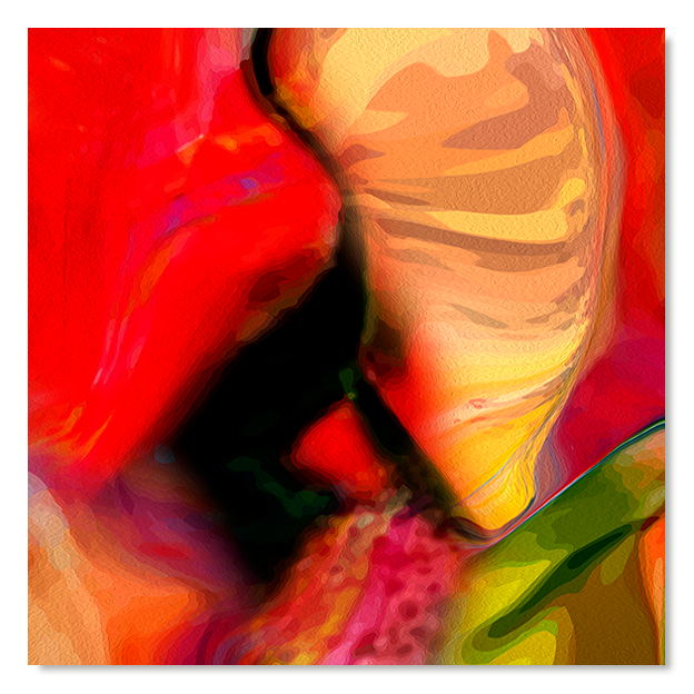 Siegi Wurz Digitale Bilder