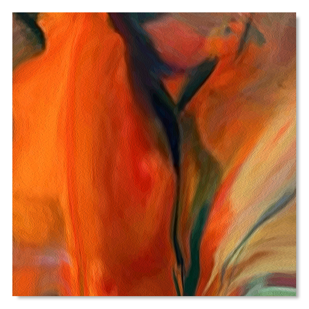 Siegi Wurz Digitale Bilder
