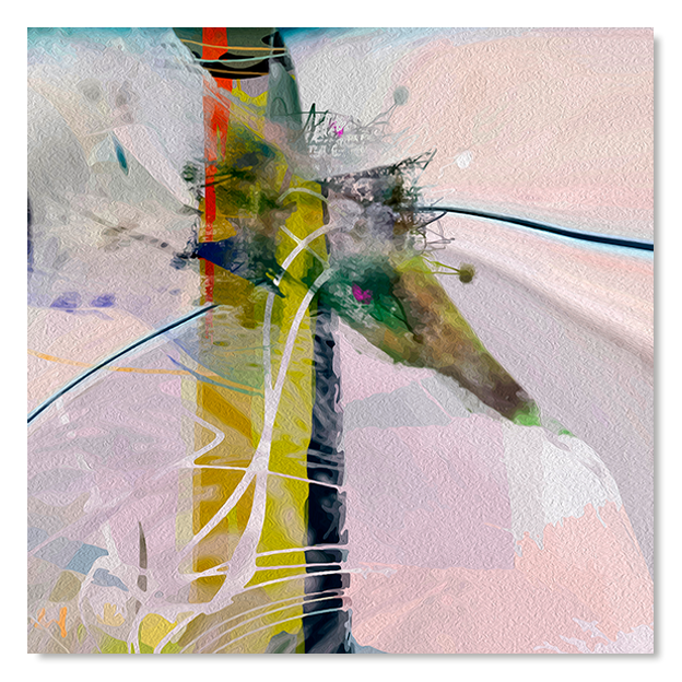 Siegi Wurz Digitale Bilder