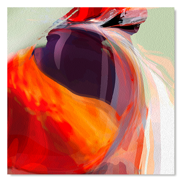 Siegi Wurz Digitale Bilder