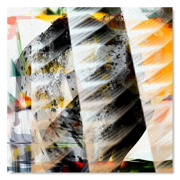 Siegi Wurz Digitale Bilder