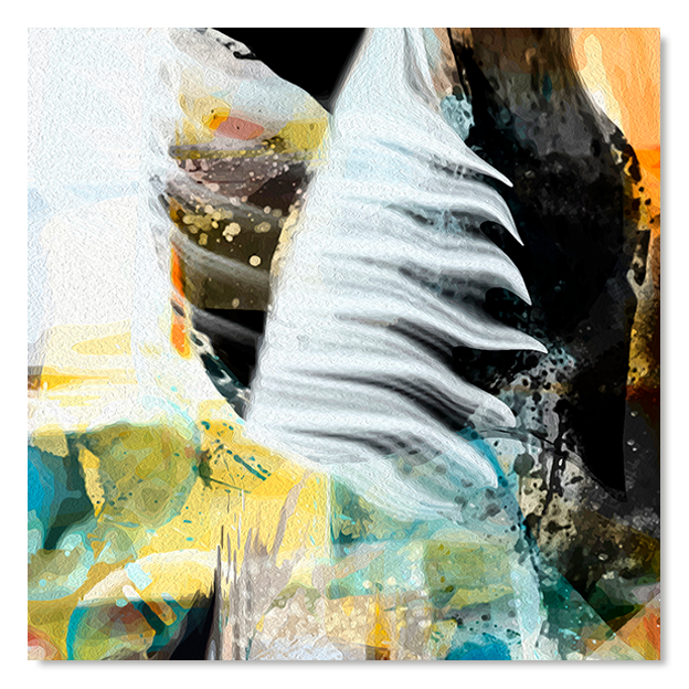 Siegi Wurz Digitale Bilder