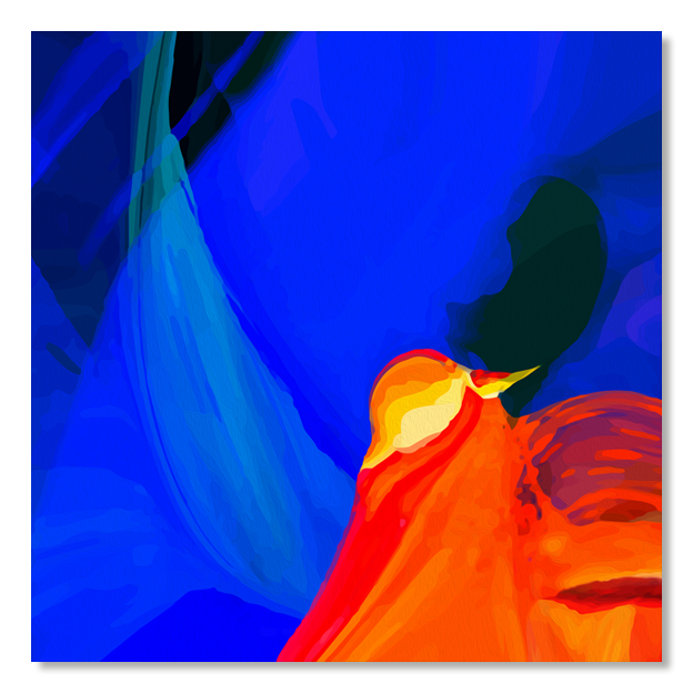 Siegi Wurz Digitale Bilder