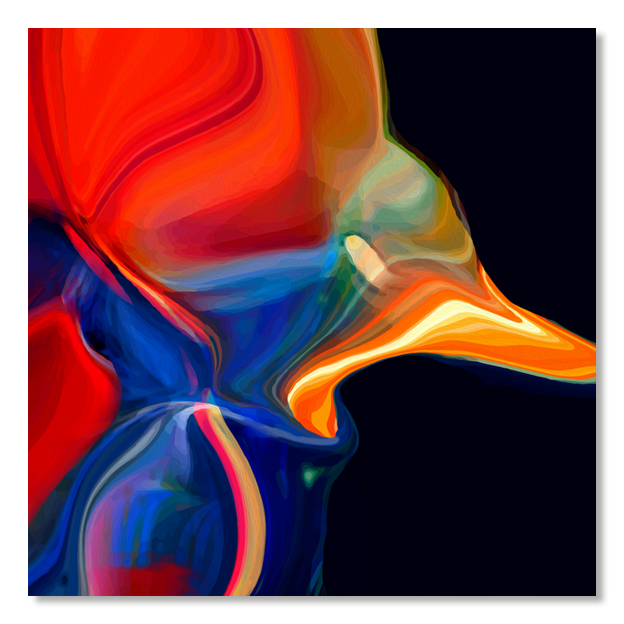 Siegi Wurz Digitale Bilder