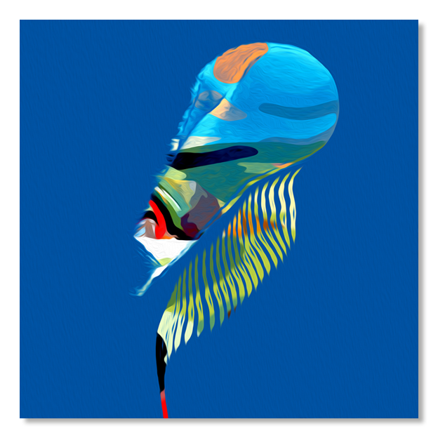 Siegi Wurz Digitale Bilder