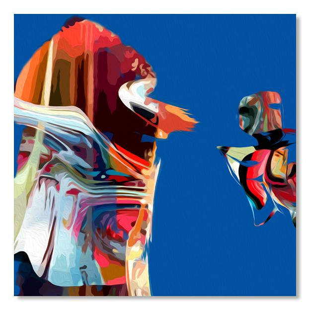 Siegi Wurz Digitale Bilder