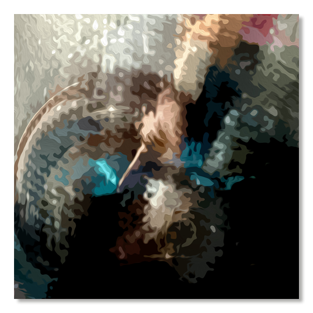 Siegi Wurz Digitale Bilder