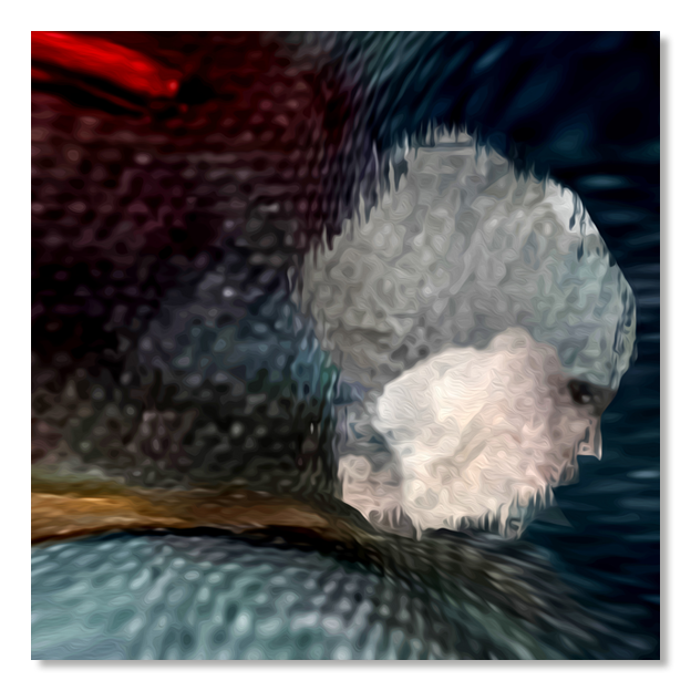 Siegi Wurz Digitale Bilder