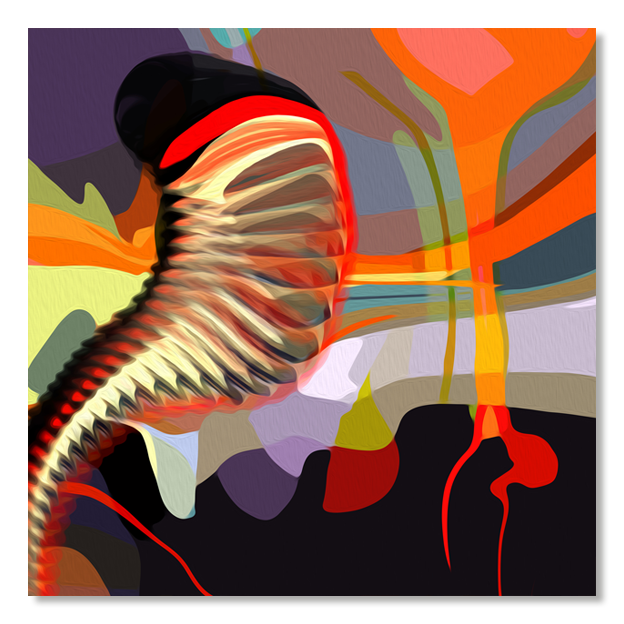 Siegi Wurz Digitale Bilder