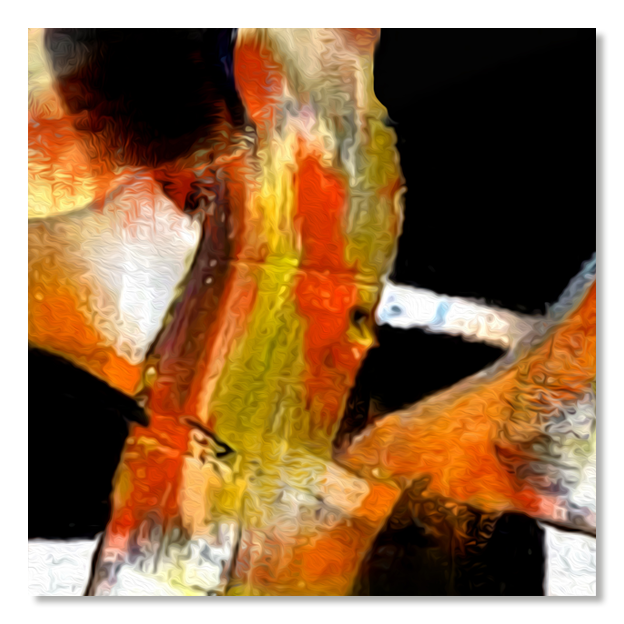 Siegi Wurz Digitale Bilder