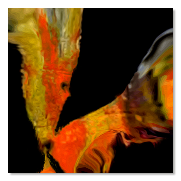 Siegi Wurz Digitale Bilder