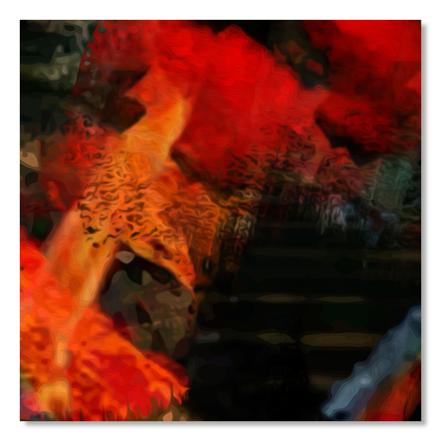 Siegi Wurz Digitale Bilder