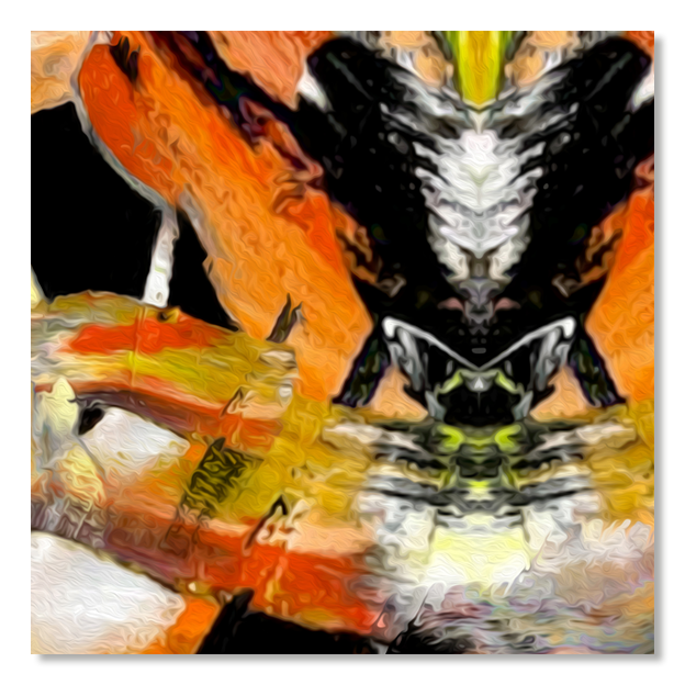 Siegi Wurz Digitale Bilder