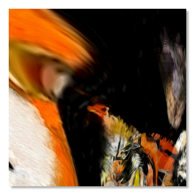 Siegi Wurz Digitale Bilder