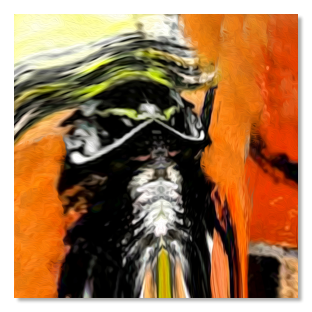 Siegi Wurz Digitale Bilder