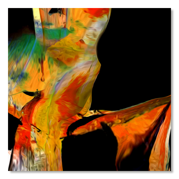 Siegi Wurz Digitale Bilder