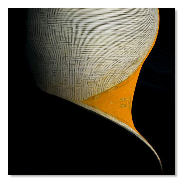 Siegi Wurz Digitale Bilder