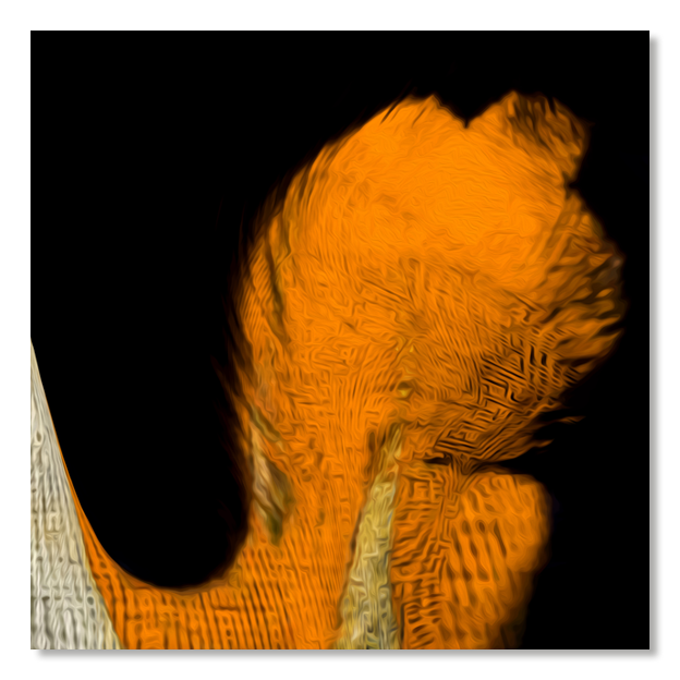 Siegi Wurz Digitale Bilder