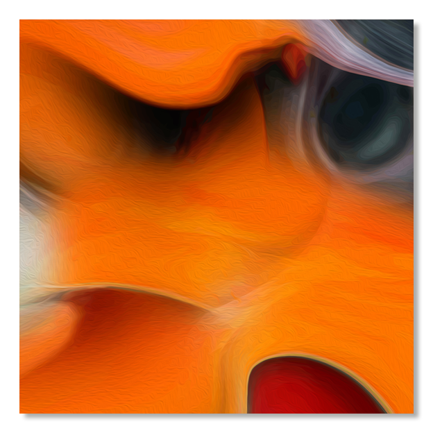 Siegi Wurz Digitale Bilder