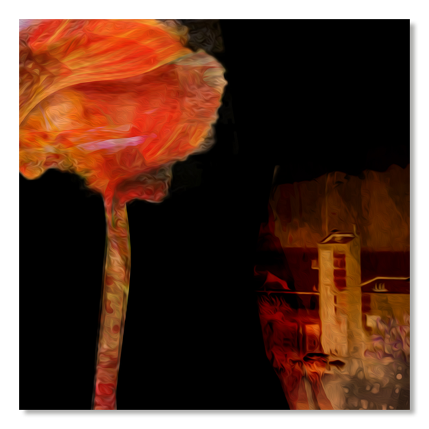 Siegi Wurz Digitale Bilder