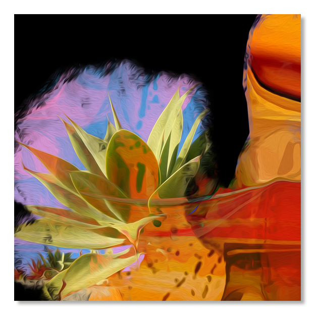 Siegi Wurz Digitale Bilder