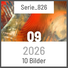 Digitale Bilder